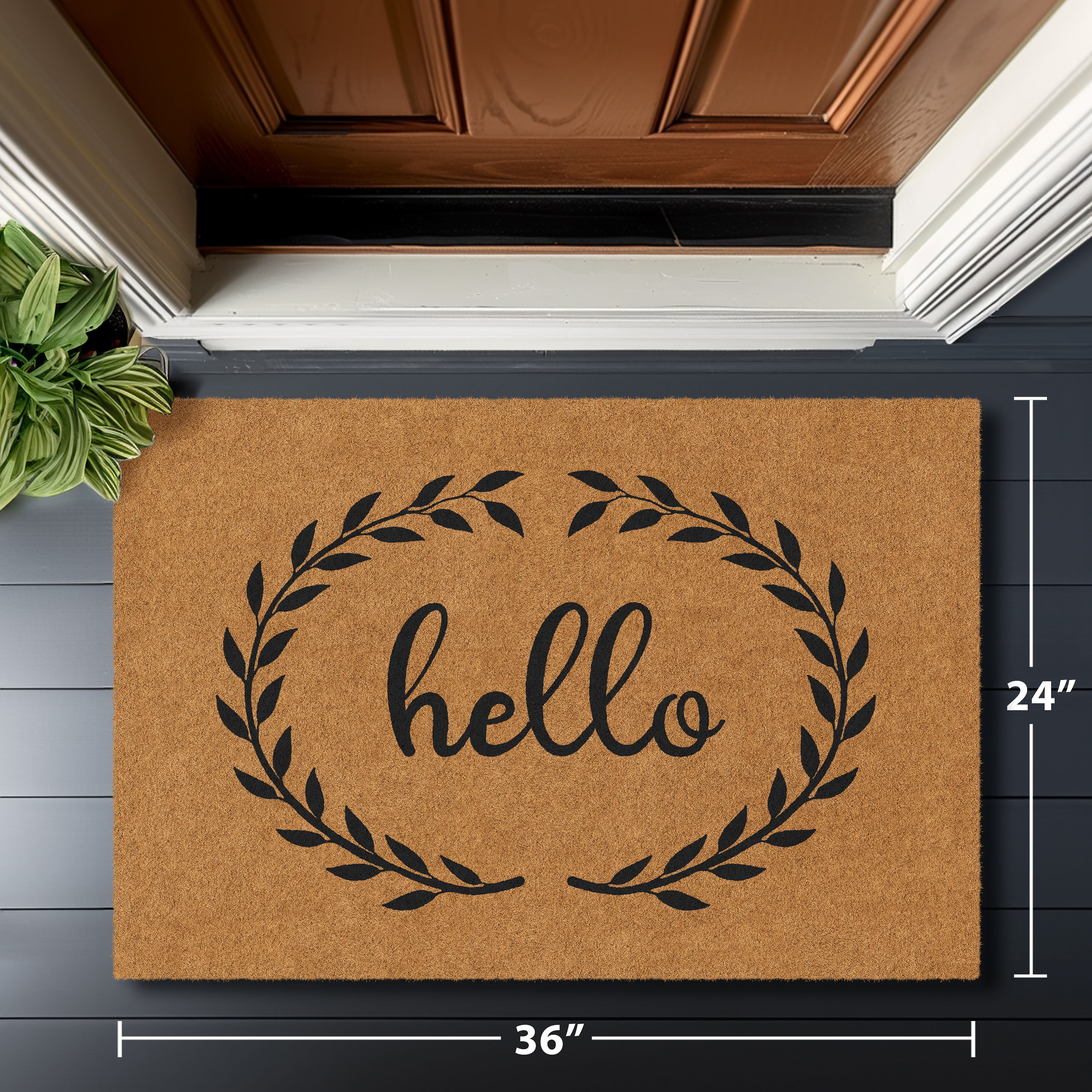 Barnyard Designs 'Oh Hallo, See Ya' deurmat, antislip tapijt, voordeur welkomstmat voor buitenveranda, huisingang boerderijdecoratie, 76 x 43 cm Barnyard Designs 'Oh Hallo, See Ya' deurmat, antislip tapijt, voordeur welkomstmat voor buitenveranda, huisingang boerderijdecoratie, 76 x 43 cm
